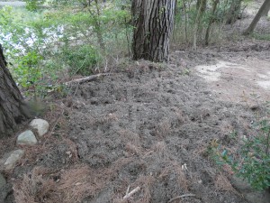 写真６　地面を掘り起こした痕跡